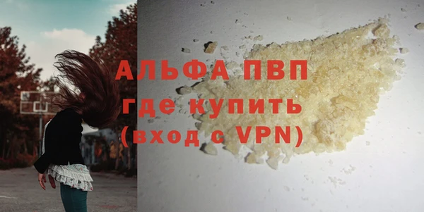 шишки Карпинск