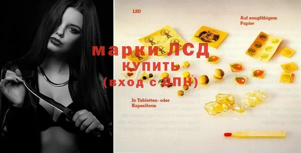 шишки Карпинск
