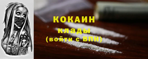 шишки Карпинск