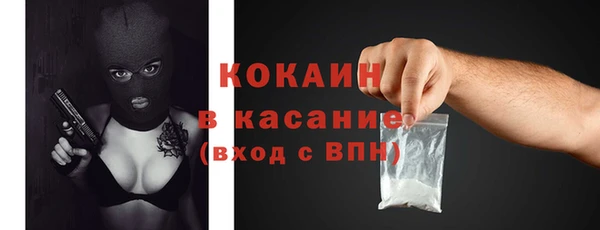 твердый Касимов