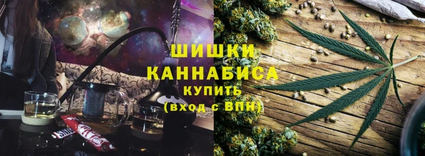 шишки Карпинск