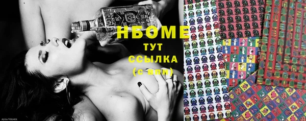 шишки Карпинск
