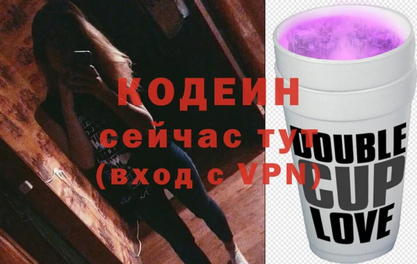 шишки Карпинск