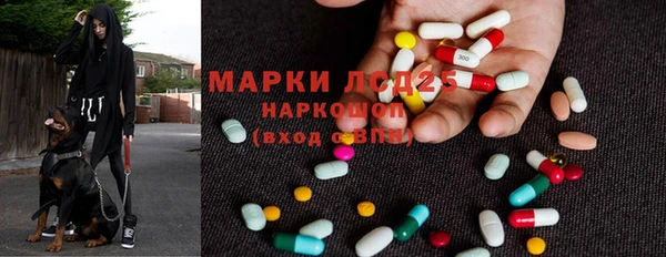 шишки Карпинск