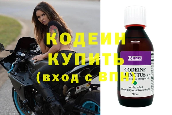 шишки Карпинск